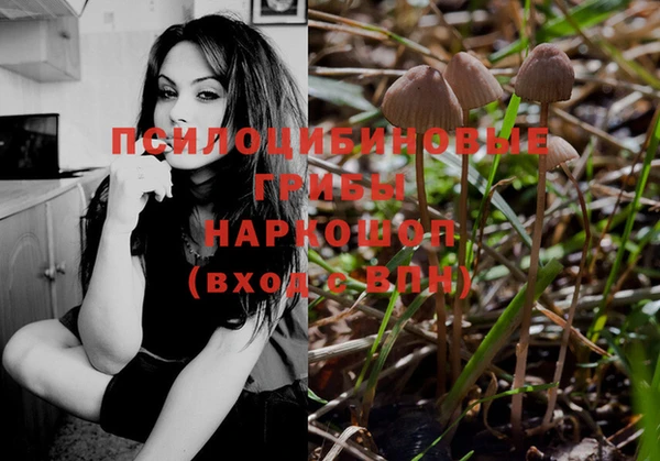 марки lsd Краснослободск