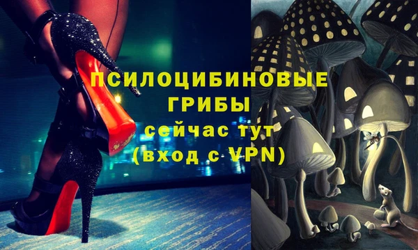 мет Коряжма