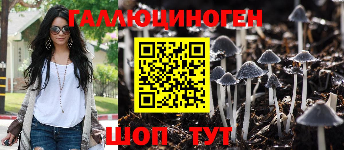Псилоцибиновые грибы мухоморы  Псилоцибиновые грибы прущие грибы  Тейково  Вход с VPN 