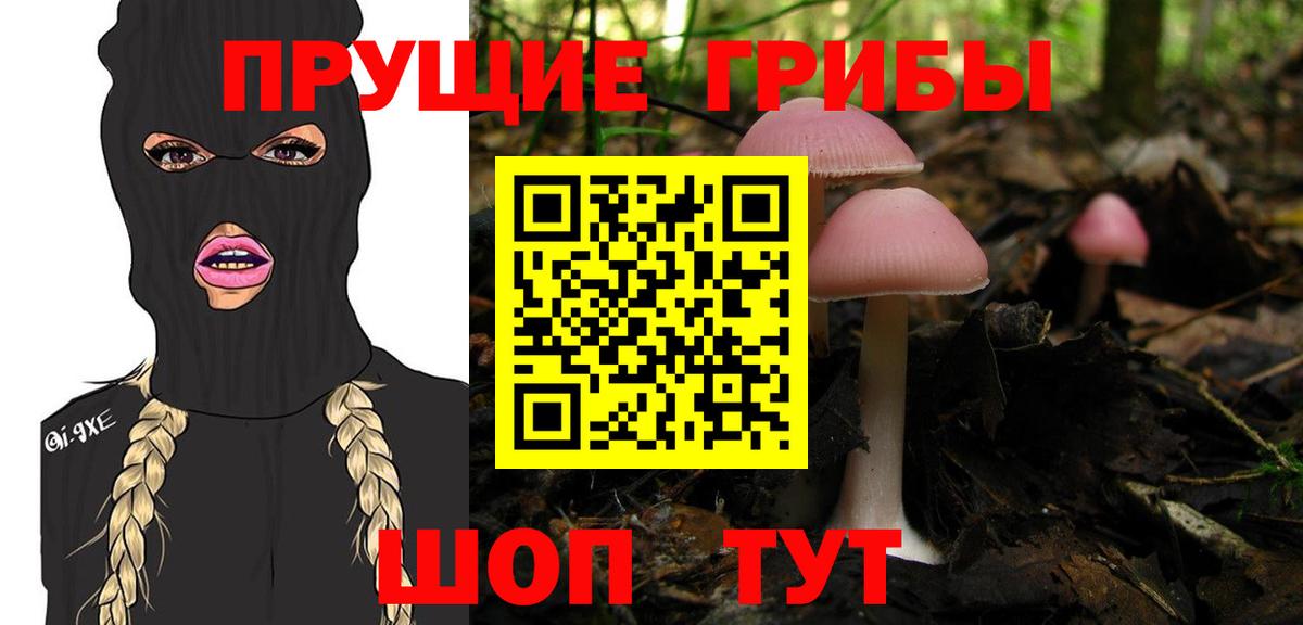 Галлюциногенные грибы мицелий Тейково