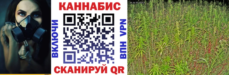 Бошки марихуана SATIVA & INDICA  даркнет сайт  Тейково 